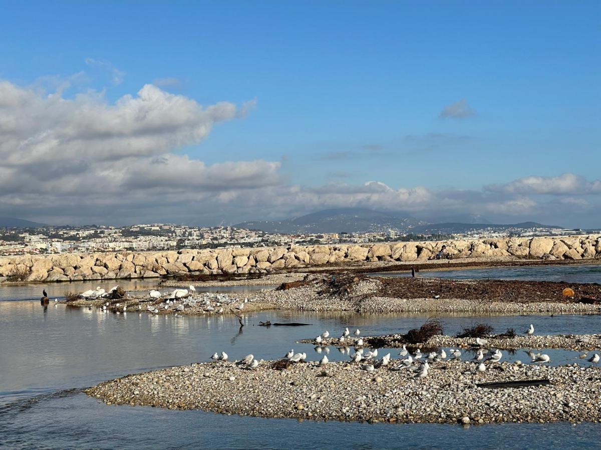 Villeneuve Loubet Plage- Entre Nice Et Cannes Exterior foto